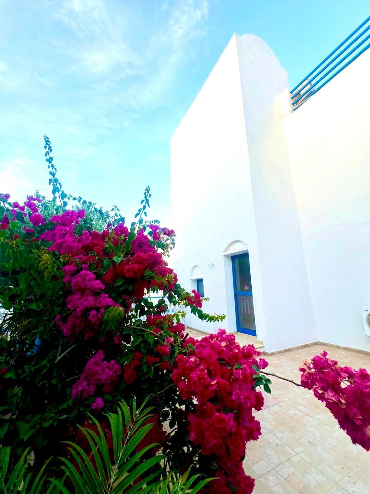 St Nicolaos Ekaterina 3 Bdrm Βίλα *